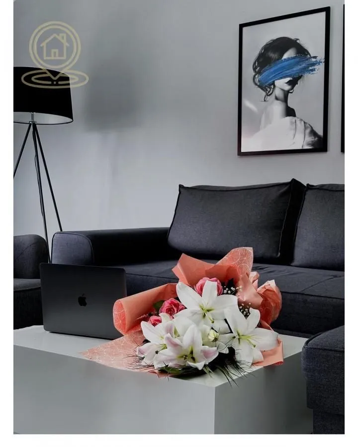 Rent, two bedroom apartment, 55m², Vojvode Vlahovica, Beograd