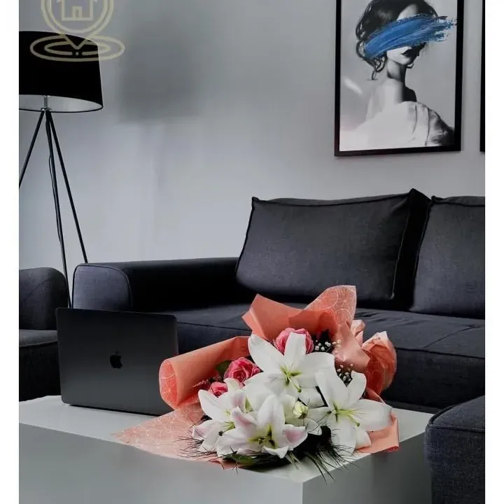 Rent, two bedroom apartment, 55m², Vojvode Vlahovica, Beograd