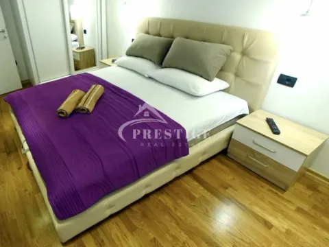 Izdavanje, jednosoban stan, 42m², Ljubović, Podgorica - image 2