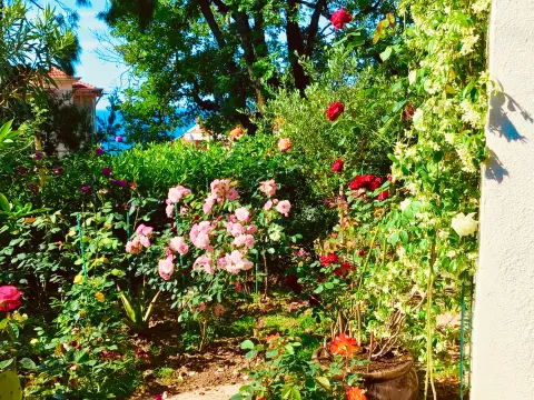 Sale, house, 260m², Zagrađe, Bar - image 12