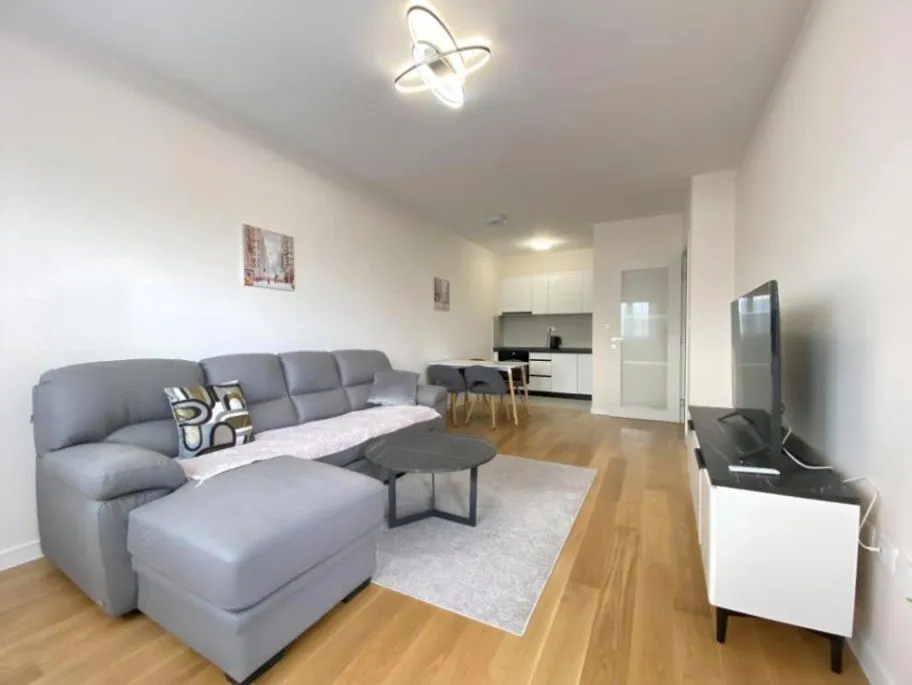 Rent, one bedroom apartment, 48m², Central Point, Podgorica