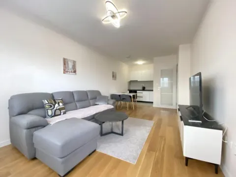 Rent, one bedroom apartment, 48m², Central Point, Podgorica - image 1