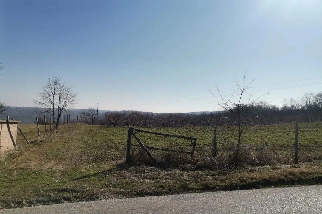 Prodaja, plac, 19600m², Dubona, Mladenovac