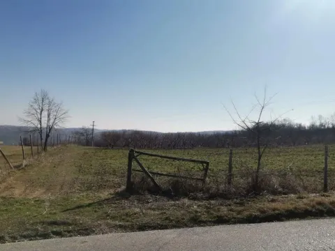 Prodaja, plac, 19600m², Dubona, Mladenovac - image 7