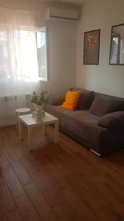 Rent, one bedroom apartment, 20m², City Kvart, Podgorica