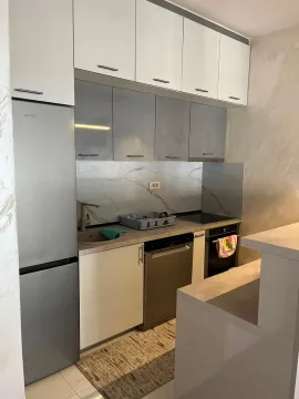 Rent, one bedroom apartment, 44m², Zabjelo, Podgorica - image 2