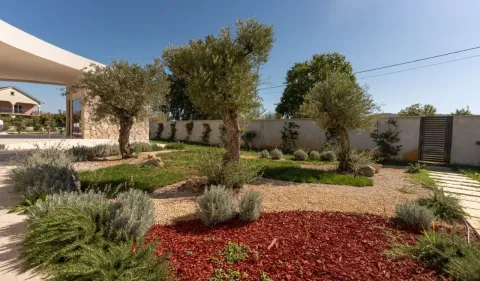 Landscaped yard with olive trees, lawn and pathways in front of the house. - image 20
