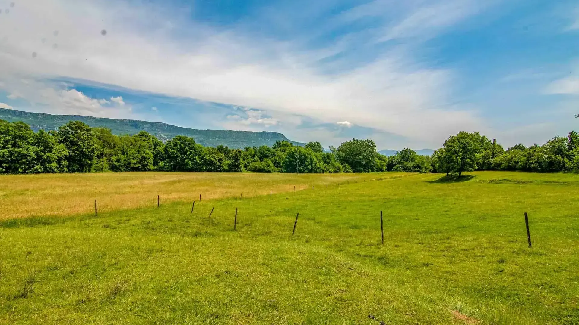 Prodaja, plac, 81000m², Spuž, Danilovgrad