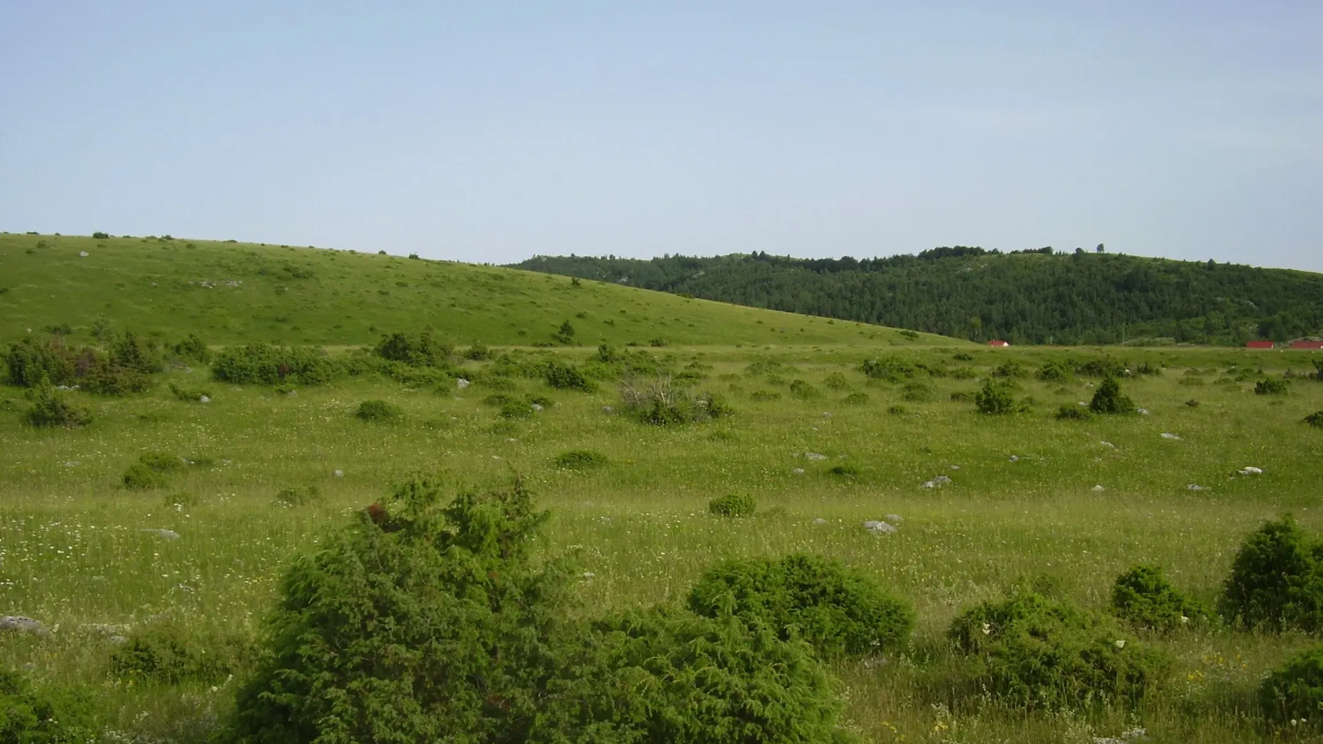 Prodaja, plac, 11606m², Borje, Žabljak