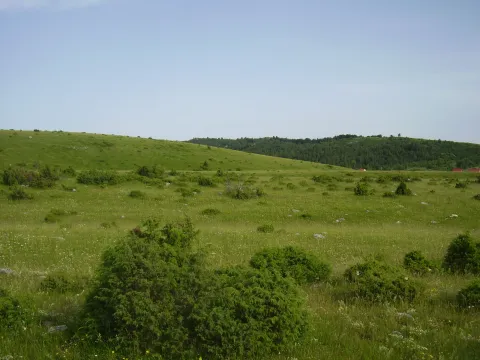 Prodaja, plac, 11606m², Borje, Žabljak - image 4