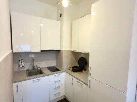 Izdavanje, jednosoban stan, 43m², Ljubović, Podgorica - image 3