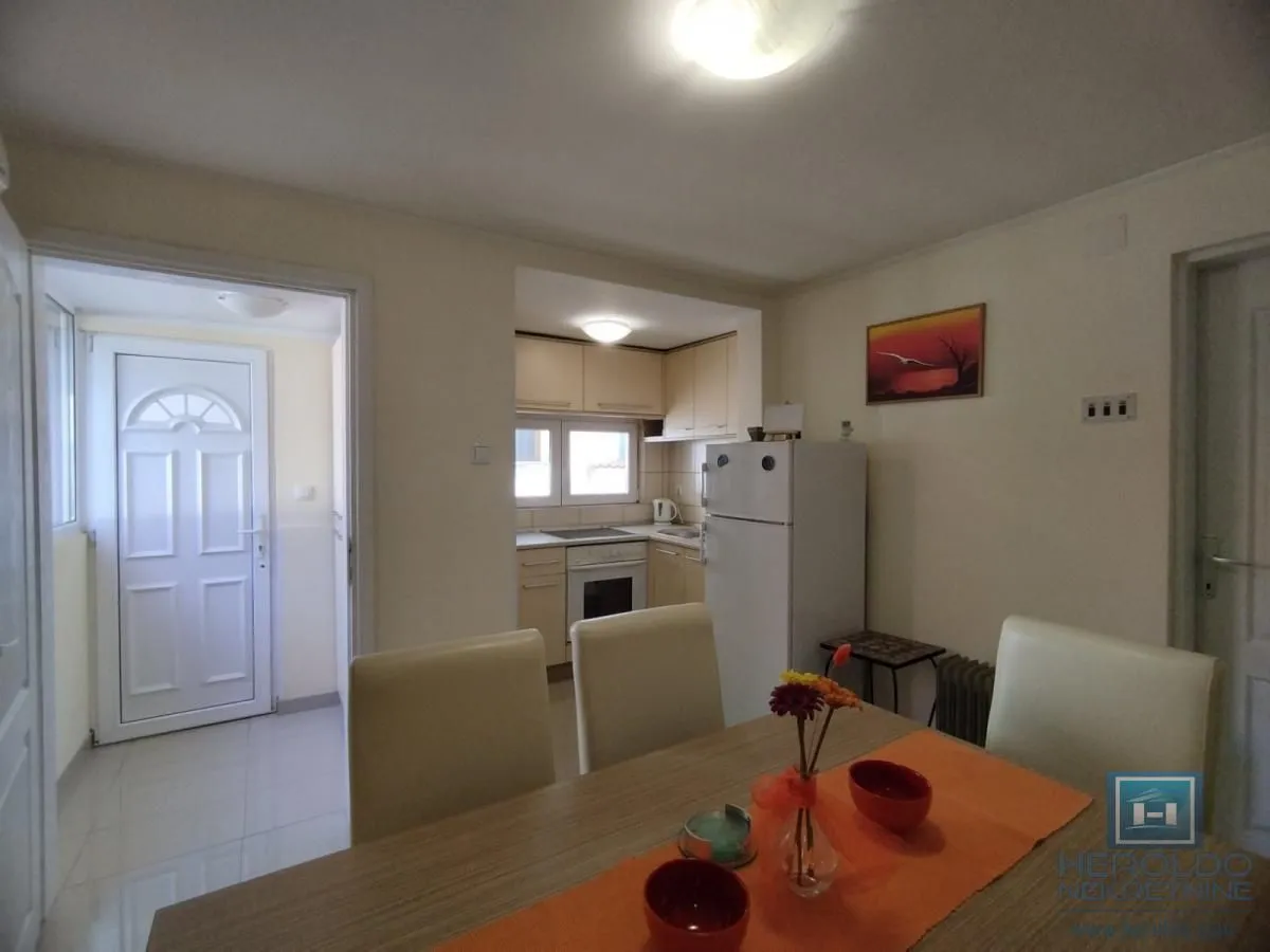 Izdavanje, jednosoban stan, 50m², Centar, Jagodina
