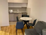 Izdavanje, jednosoban stan, 40m², Pobrežje, Podgorica - image 1