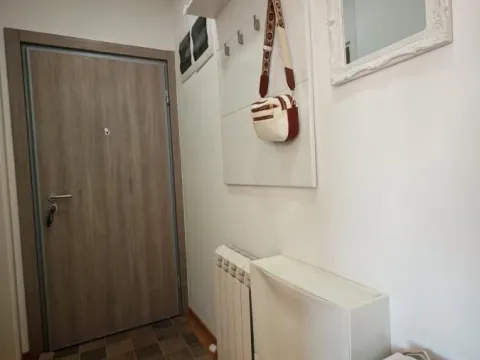 Izdavanje, jednosoban stan, 48m², Lekino Brdo, Voždovac Sve Podlokacije - image 9