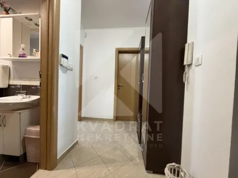 Rent, one bedroom apartment, 45m², Ljubović, Podgorica - image 7