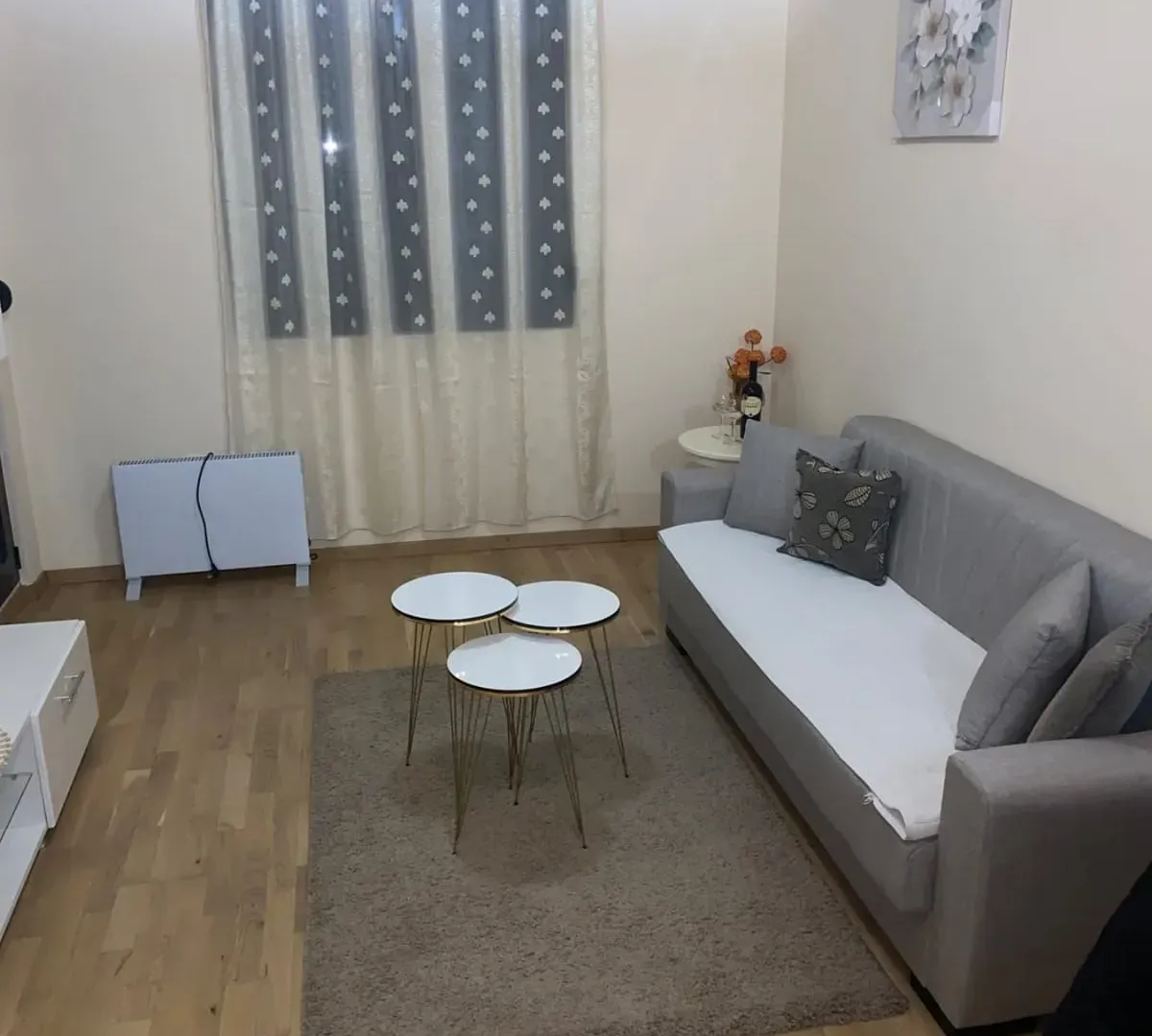 Rent, one bedroom apartment, 45m², Vezirov Most, Podgorica