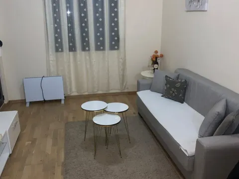 Rent, one bedroom apartment, 45m², Vezirov Most, Podgorica - image 3