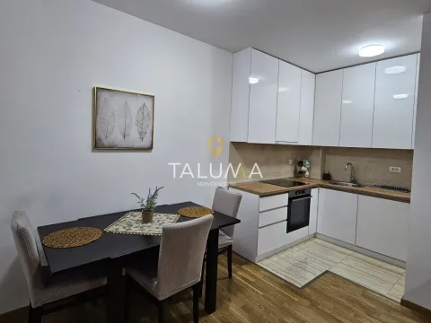 Izdavanje, jednosoban stan, 44m², Zabjelo, Podgorica - image 4