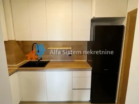 Izdavanje, četvorosoban stan, 80m², Savski Venac, Beograd - image 6