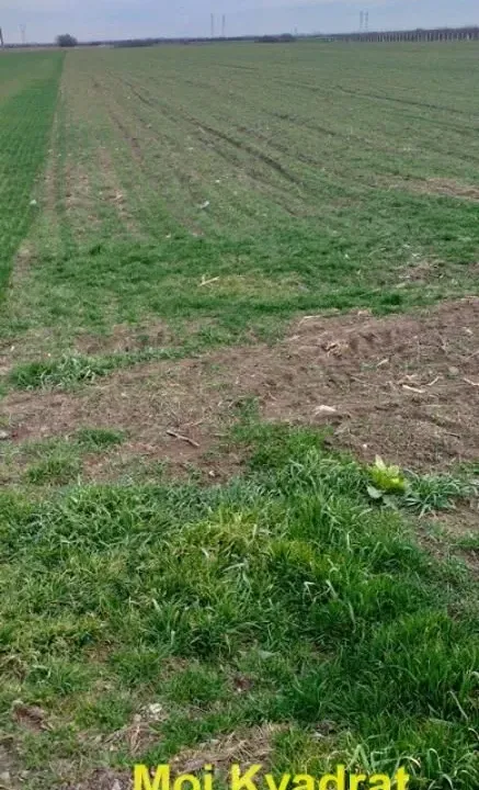 Sale, land lot, 22757m², Zemun Sve Podlokacije, Beograd