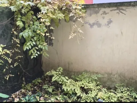 Izdavanje, garsonjera, 35m², Grbavica, Novi Sad Sve Podlokacije - image 13