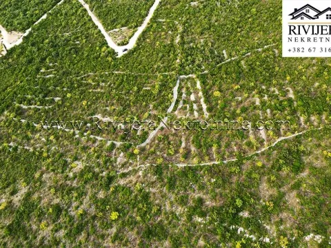 Sale, land lot, 2216m², Glavatičići, Kotor - image 4