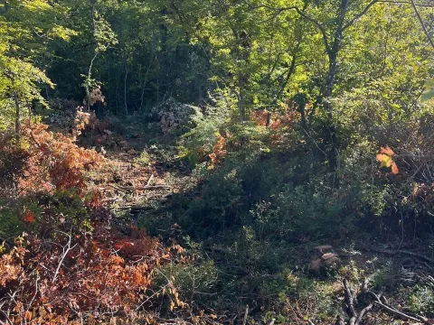 Prodaja, plac, 47894m², Danilovgrad, Crna Gora - image 3