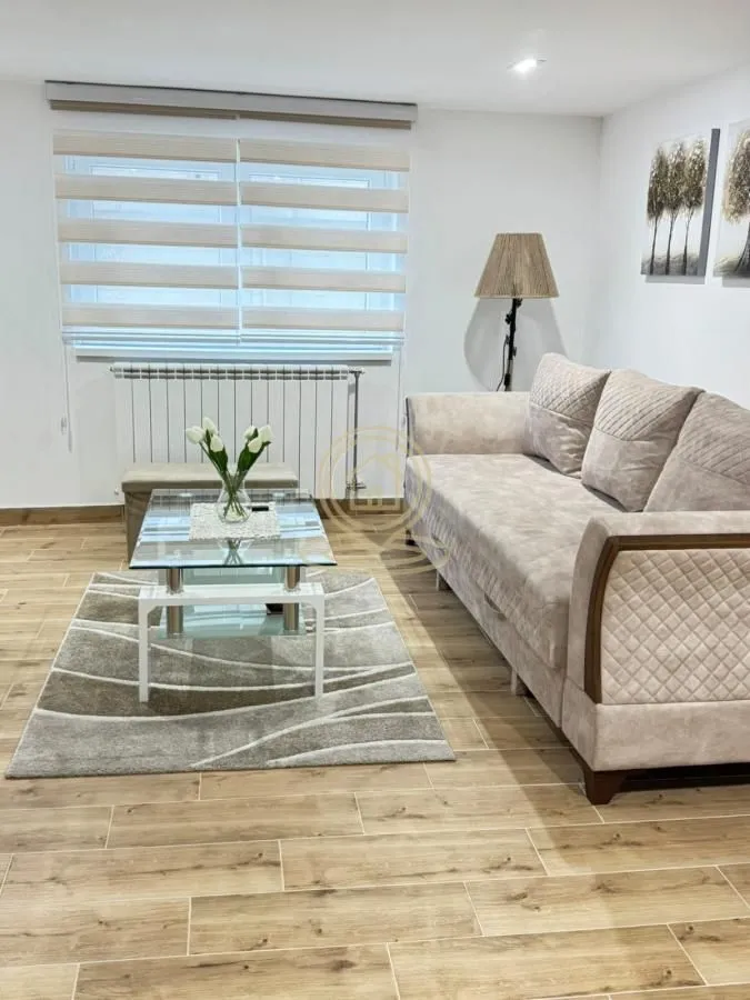 Izdavanje, dvosoban stan, 78m², Južni Bulevar, Vračar Sve Podlokacije