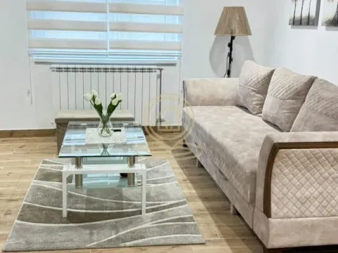 Izdavanje, dvosoban stan, 78m², Južni Bulevar, Vračar Sve Podlokacije - image 6