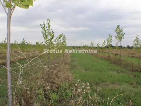 Prodaja, plac, 1378m², Zrenjanin, Srbija - image 48