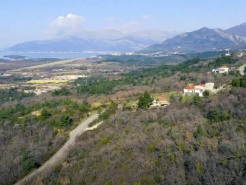 Prodaja, plac, 4347m², Dub, Kotor - image 4