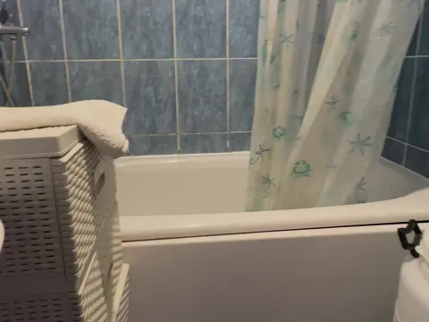 Bathroom with a bathtub and blue wall tiles. - image 15