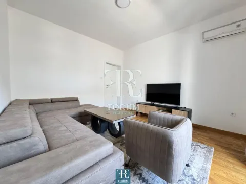 Izdavanje, jednosoban stan, 70m², Centar, Podgorica - image 4