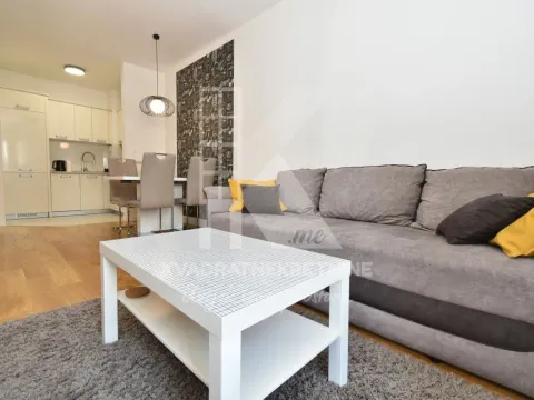 Izdavanje, jednosoban stan, 39m², Central Point, Podgorica - image 3