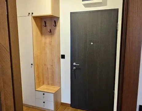 Izdavanje, jednosoban stan, 48m², Ljubović, Podgorica - image 7