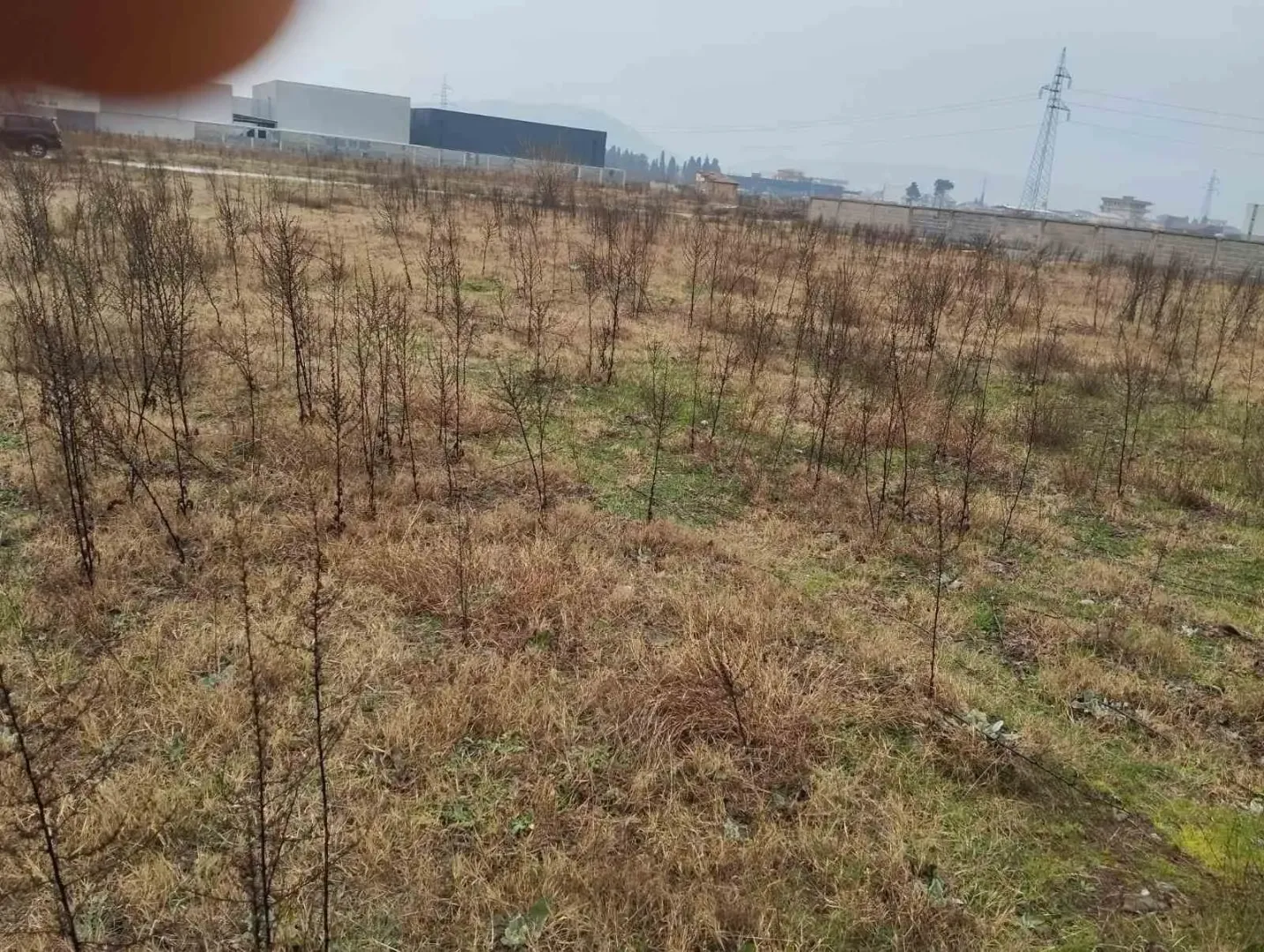 Građevinsko zemljište obraslo niskim rastinjem.