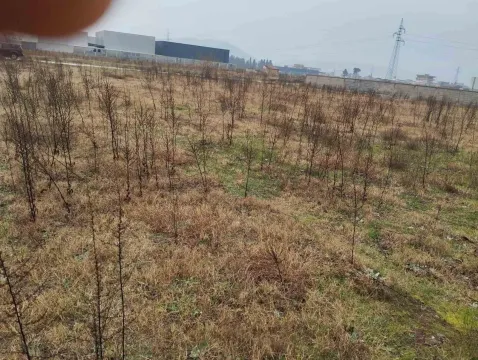 Građevinsko zemljište obraslo niskim rastinjem. - image 3