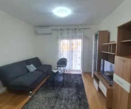 Izdavanje, jednosoban stan, 45m², Pobrežje, Podgorica - image 2