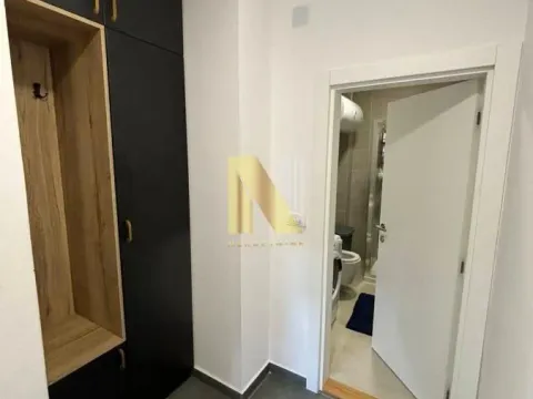 Rent, one bedroom apartment, 39m², Nova Detelinara, Novi Sad Sve Podlokacije - image 9