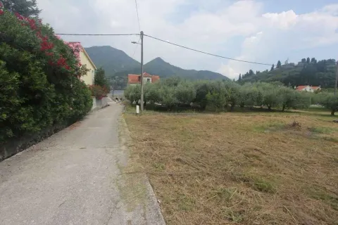 Pogled na ravan plac pored puta sa maslinjakom i brdima u pozadini. - image 2