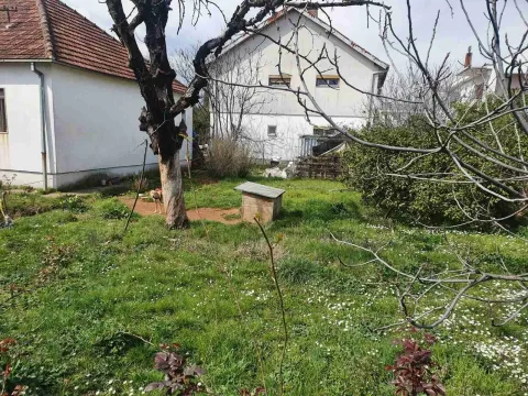 Dvorište kuće sa travnjakom i drvećem u proljeće. - image 3