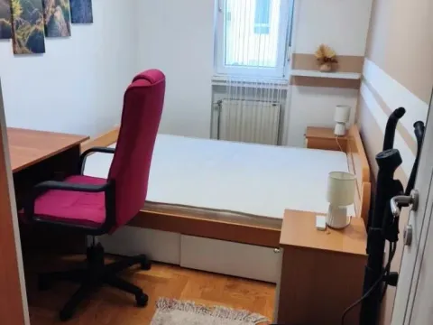 Izdavanje, trosoban stan, 55m², Novo naselje, Novi Sad - image 4