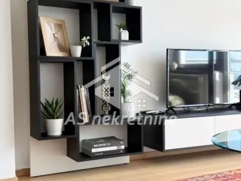 Izdavanje, trosoban stan, 73m², Vračar Sve Podlokacije, Beograd - image 7