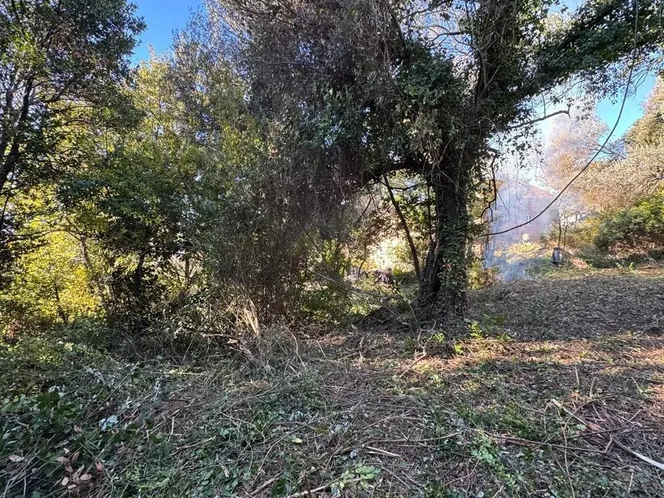 Prodaja, plac, 564m², Tivat, Crna Gora