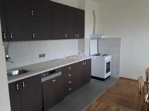 Izdavanje, stan, 200m², Banjica, Voždovac Sve Podlokacije - image 8