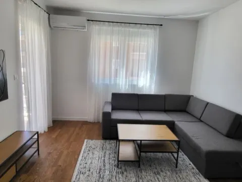 Izdavanje, jednosoban stan, 47m², Stari Aerodrom, Podgorica