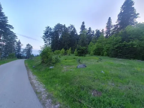 Prodaja, plac, 1130m², Centar, Zlatibor - image 2