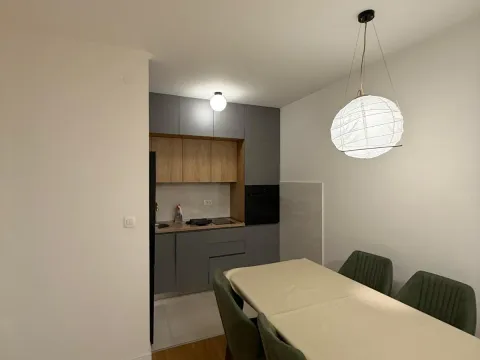 Prodaja, jednosoban stan, 49m², Central Point, Podgorica - image 13