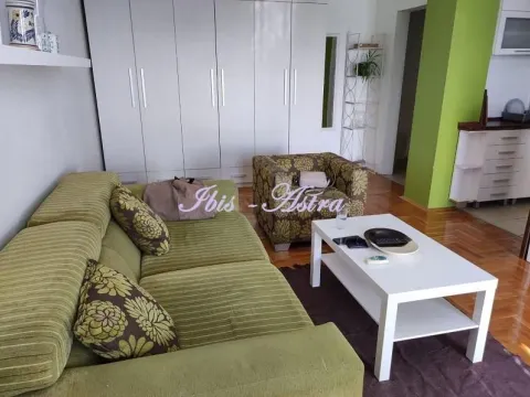 Izdavanje, dvosoban stan, 47m², Zvezdara Sve Podlokacije, Beograd - image 4