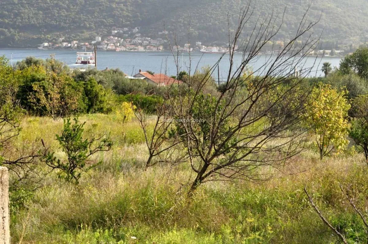 Pogled na zeleno dvorište i more u daljini.